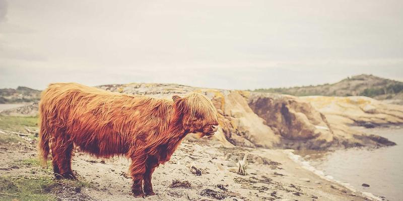 江西医大医院29：以专业医疗服务，守护赣鄱百姓健康