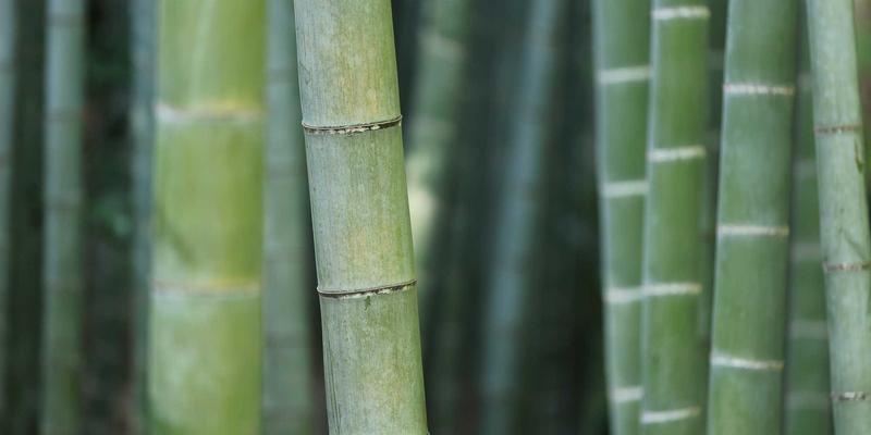 江西医大医院37：外科医疗的卓越典范与创新实践