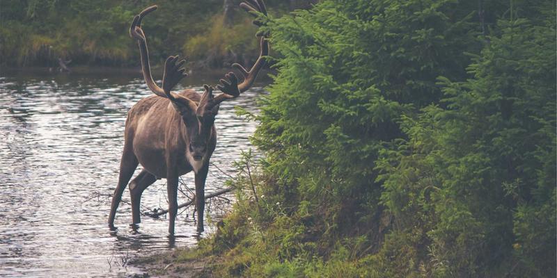 江西医大医院57：守护妇儿健康，构筑生命起点的坚实防线
