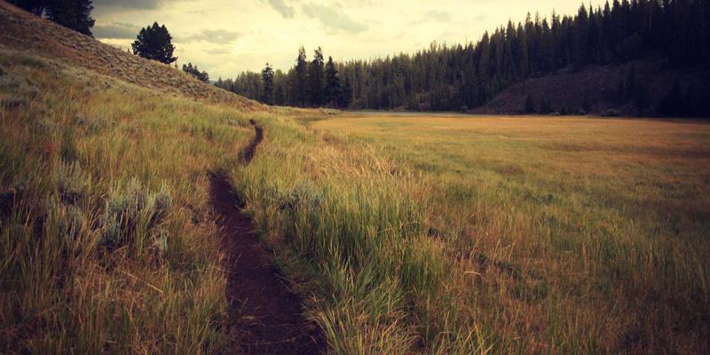 江西医大医院83：守护赣鄱健康，提供全方位医疗与健康咨询服务