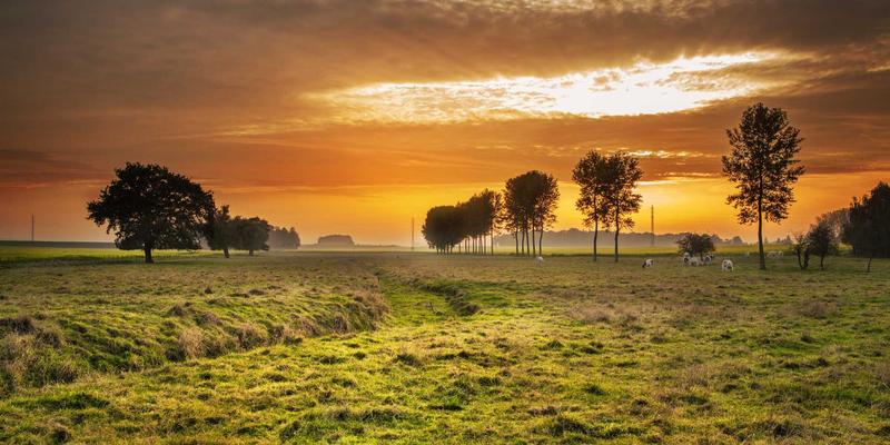 江西医大医院87：妇产科与中医科融合，打造特色医疗服务新标杆