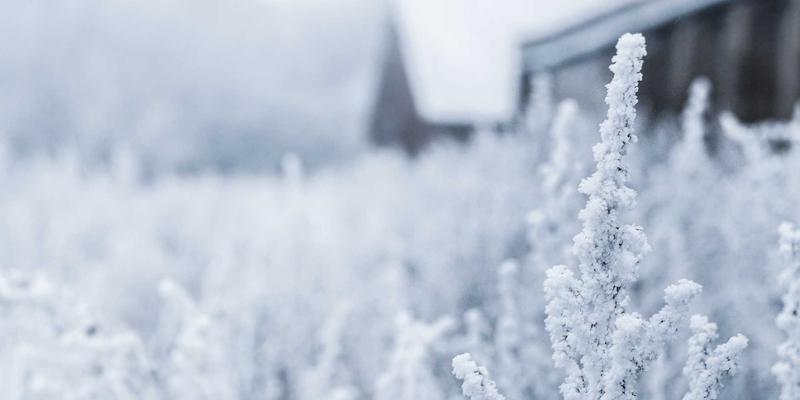 江西医大医院92：传承中医精髓，守护妇幼健康——探访中医科、儿科与妇产科的特色诊疗