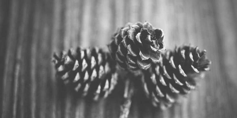 江西医大医院96：传承与创新并举，打造现代化中医科医疗新标杆