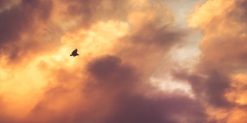 江西医大医院产科全解析：从专业产前检查到VIP病房环境，守护母婴健康