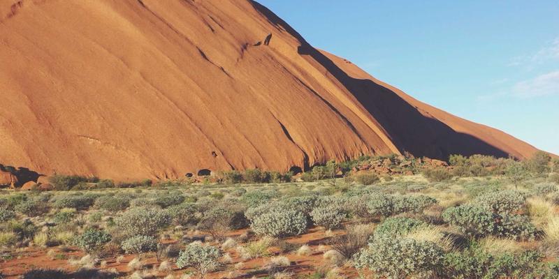 江西医大医院：以卓越外科技术与全方位健康咨询引领医疗最佳实践