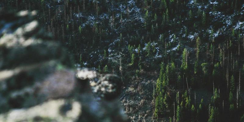 江西医大医院内分泌科：糖尿病足多学科协作诊疗模式，融合中医科、妇产科与外科优势的创面管理新路径