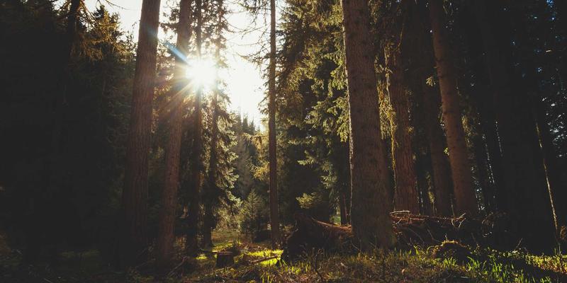 江西医大医院口腔科：详解种植牙全过程，从术前评估到术后维护的健康指南