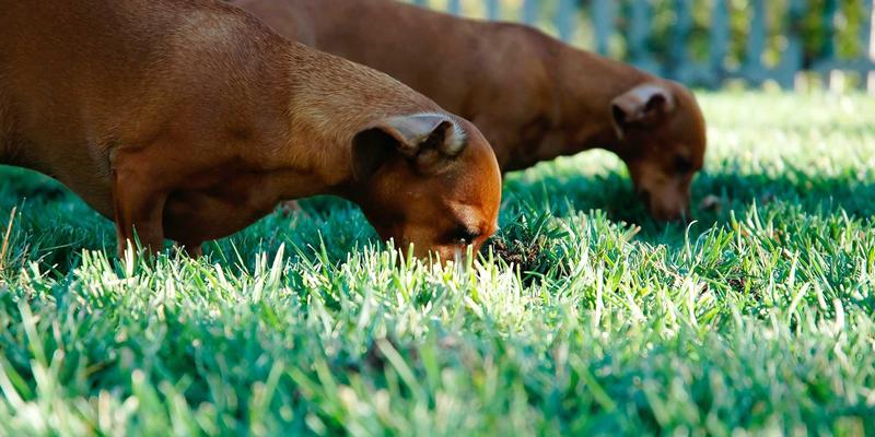 江西医大医院周末能做核酸检测吗？时间、流程与儿科报告查询全指南