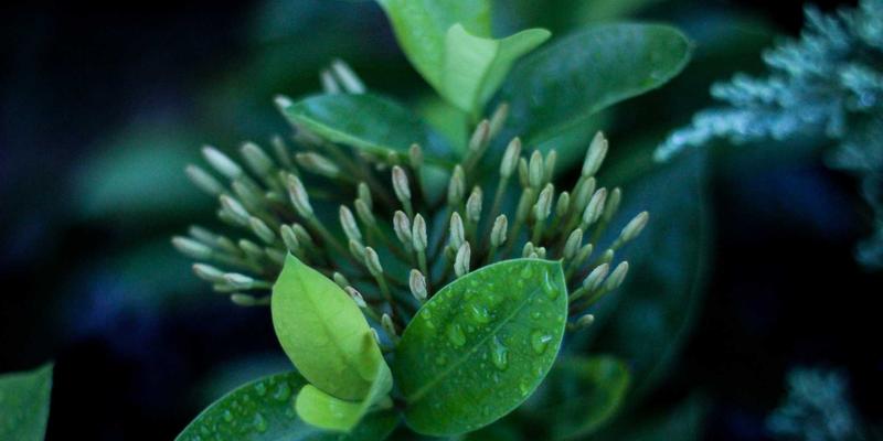 江西医大医院外科视角：内分泌科糖尿病精细化管理和并发症防治新策略