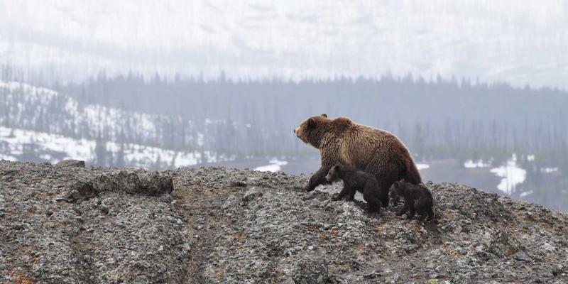 江西医大医院妇产科：专业守护女性全周期健康，提供一站式健康咨询