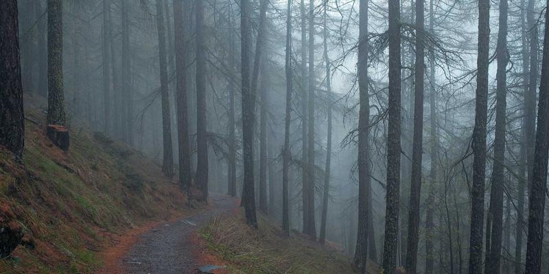 江西医大医院：守护妇儿健康，打造赣鄱大地值得信赖的医疗港湾