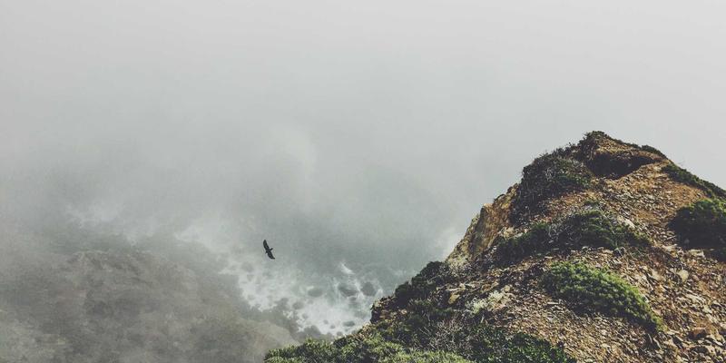 江西医大医院心血管内科实力解析：冠心病介入治疗与中西医结合康复管理