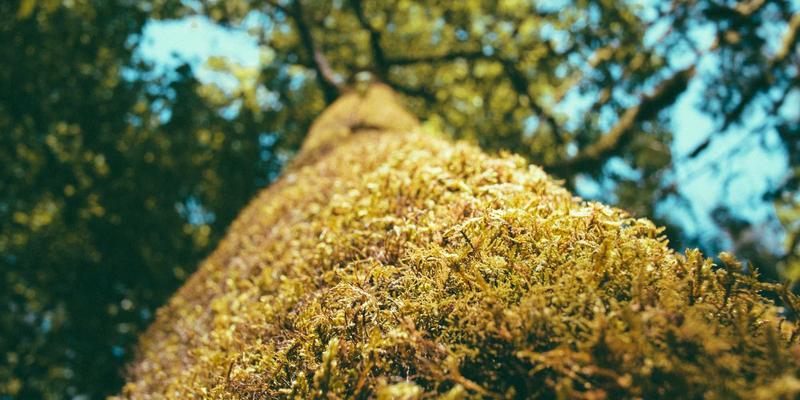 江西医大医院普外科：结直肠癌腹腔镜微创手术与ERAS快速康复，守护成人健康，赋能妇儿医疗