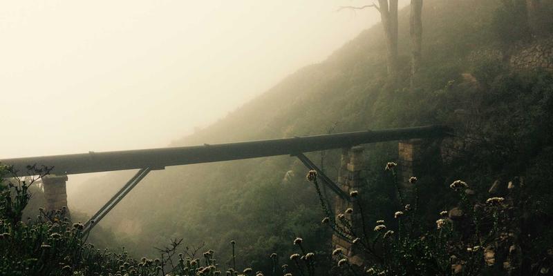 江西医大医院消化内科：幽门螺杆菌规范化根除方案与耐药对策详解