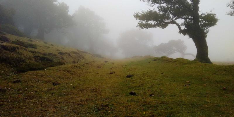 江西医大医院深度评测：内科实力与健康咨询服务全解析