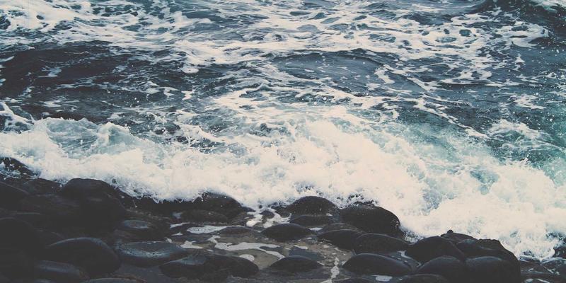 江西医大医院骨科：膝关节置换术的微创技术与加速康复全流程解析