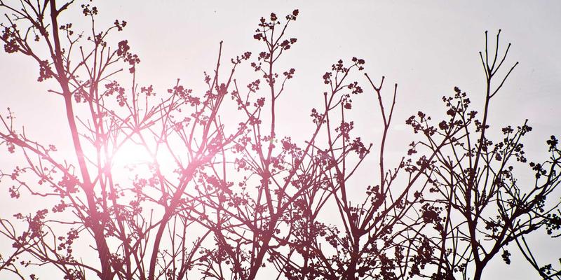 精准放疗新纪元：江西医大医院肿瘤中心TOMO技术如何重塑癌症治疗